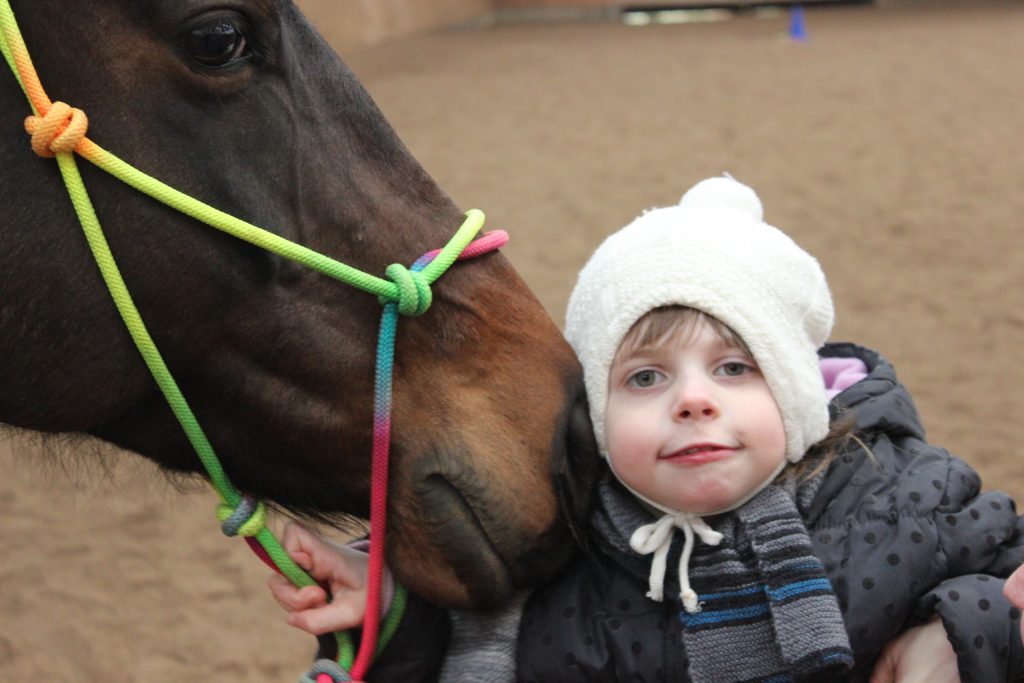 Therapeutisches Reiten unterstütz die Menschen - das Pferd wird zum Partner
